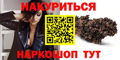 дмт Шелехов
