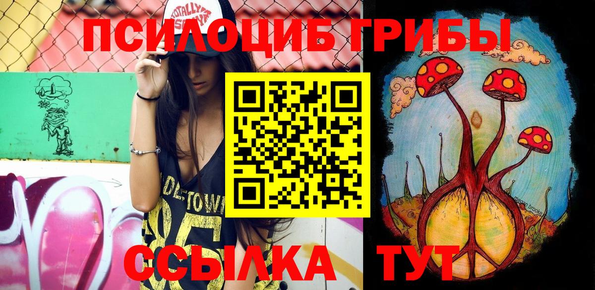 Галлюциногенные грибы Psilocybe Богородск