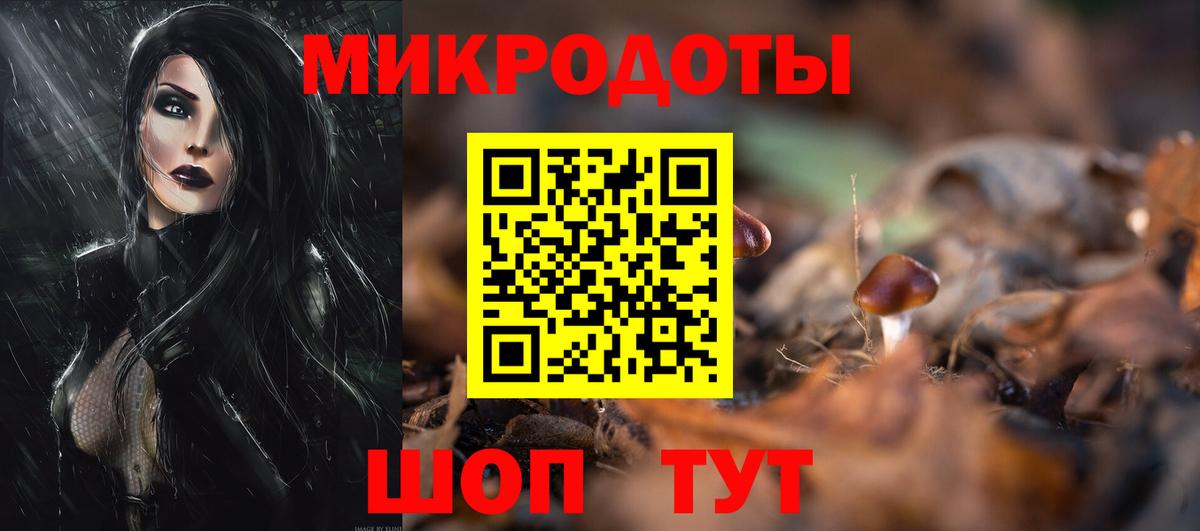 Богородск  Галлюциногенные грибы GOLDEN TEACHER  даркнет сайт  Вход с VPN 